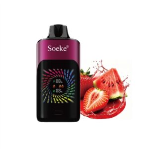 27. strawberry watermelon 草莓西瓜.jpg