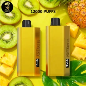 alibarbar teq 12000 puffsp.webp