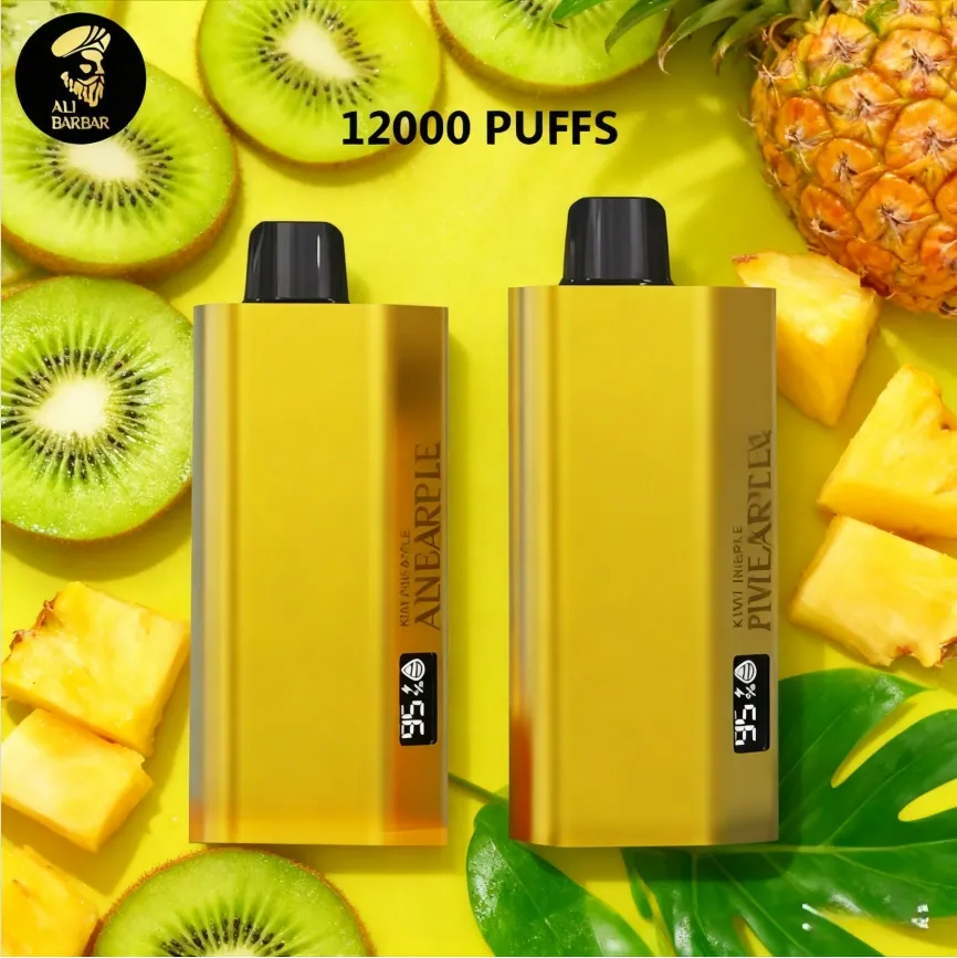 alibarbar teq 12000 puffsp.webp alibarbar teq 12000 puffsp.webp