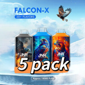 jnr approx 18000 puffs 5 pack.jpg