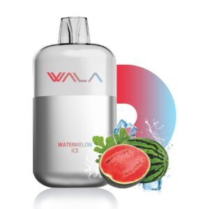 watermelon ice.jpg